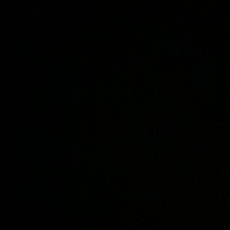 عاليه الجابري 